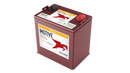 Trojan T875-AES 8V AGM Deep Cycle Battery