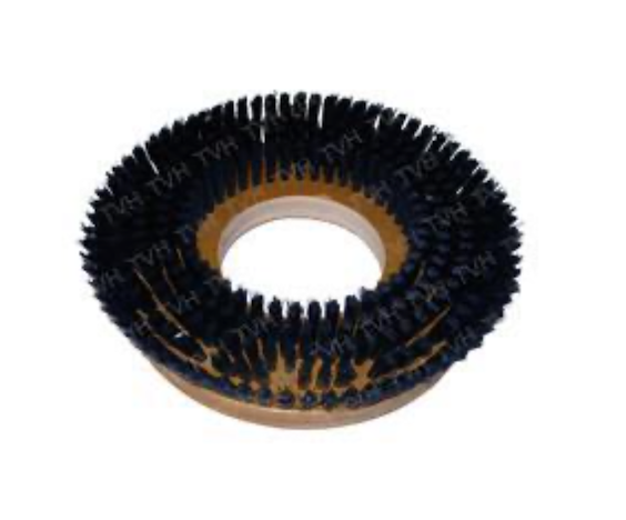 ADVANCE 56505765  BRUSH 12 INCH