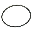 ADVANCE 2-00-05200  BELT DURAFLEX GL FHP