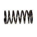 AMERICAN LINCOLN 56056585  SPRING DIAPHRAG
