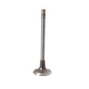 CLARKE 56109282  EXHAUST VALVE 1 6LGM