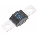 CLARKE 9097830000  FUSE MIDIFUSE 100A