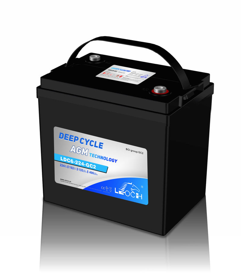 Leoch LDC6-224-GC2 6V 224AH AGM Battery