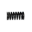 MINUTEMAN 3306179  SPRING - CURB BROOM SW71