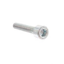 POWER BOSS 00137020  SCREW