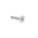 POWER BOSS 00509000  SCREW