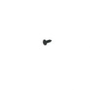 POWER BOSS 15-594  SCREW