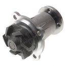 POWER BOSS 306249  PUMP - WATER