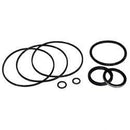POWER BOSS 309293  SEAL KIT - STEERING GEAR