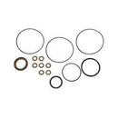 POWER BOSS 3324169  SEAL KIT