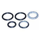 POWER BOSS 3332532  SEAL KIT-AUX PUMP 3321395