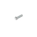 POWER BOSS 3401087  CAPSCREW