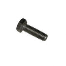 TENNANT 32124  SCREW - HEX .31-18X1.00 SS NL