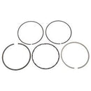 TENNANT 371931  RNG KIT PISTN STD78.95-79.02MM