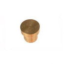 TENNANT 372579  PLUG HOLE INJECTOR