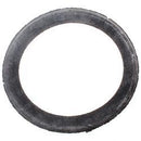 TENNANT 612309  SEAL MOTOR