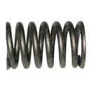 TENNANT 74582  SPRING