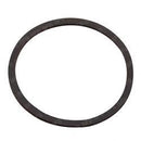 TENNANT 79320  GASKET - DRAIN CAP