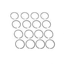 TENNANT F163T00119040  RING SET -