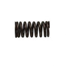TENNANT Y400I00215  SPRING - VALVE